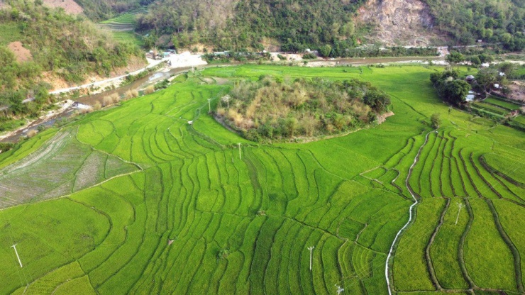 Những năm gần đây, người dân đã chuyển đổi cây trồng, trong đó áp dụng khoa học kỹ thuật vào trồng lúa đã mang lại năng suất cao hơn so với trước đây.