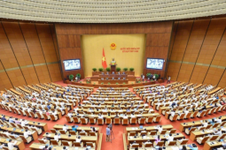 Tin tức trong ngày - Lý do cho thôi, bãi nhiệm với 12 đại biểu Quốc hội