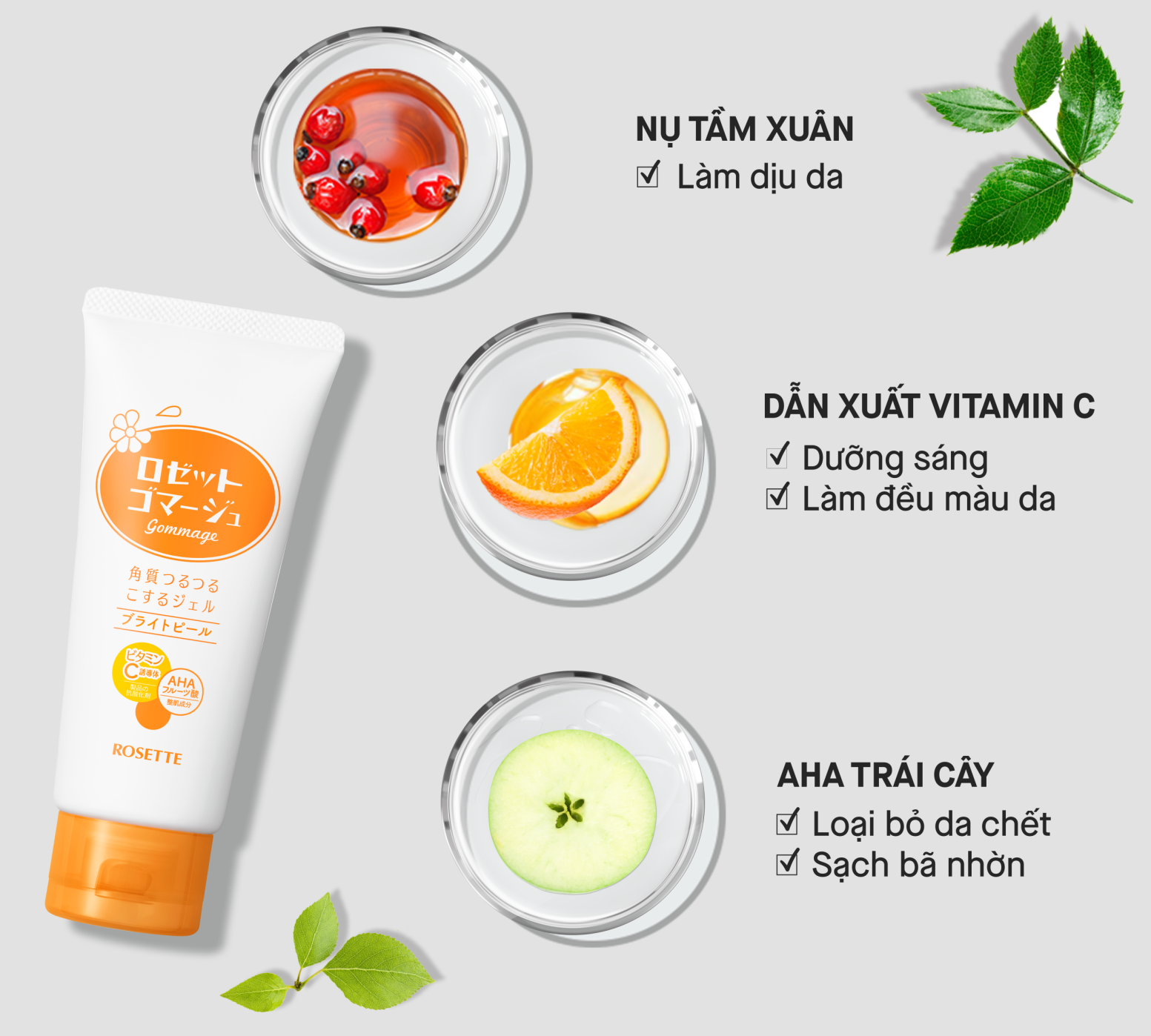 Thành phần tự nhiên có trong Tẩy Tế Bào Chết Dưỡng Sáng Da Rosette Gommage Bright Peel