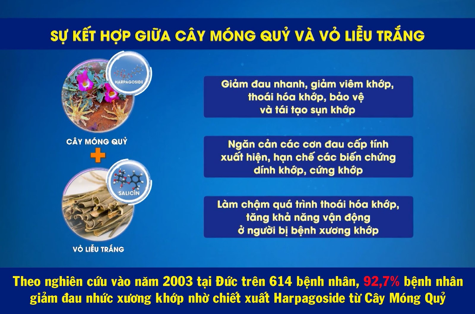 Bộ đôi cây móng quỷ và vỏ liễu trắng giúp hỗ trợ cải thiện&nbsp;thoát vị đĩa đệm và bệnh xương khớp hiệu quả