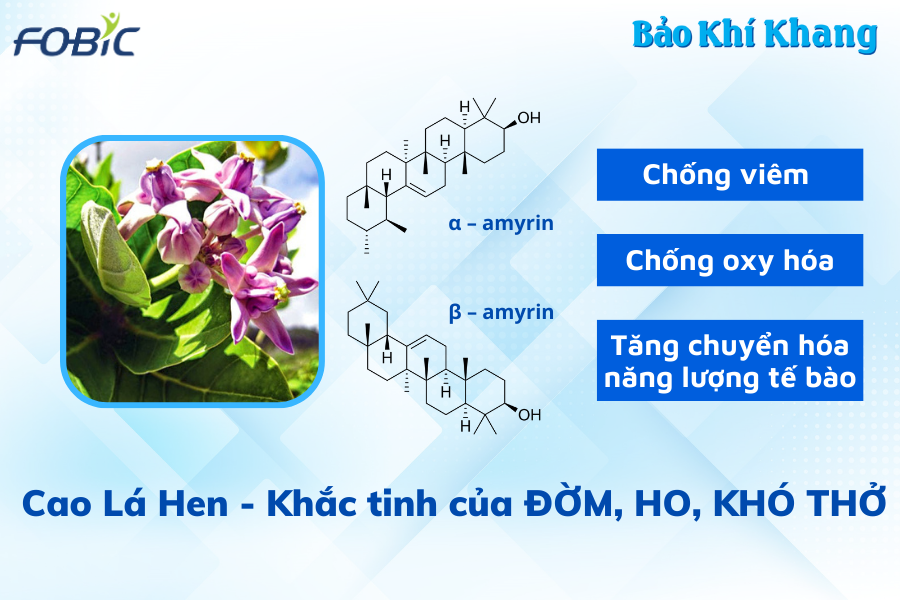 5 hành động "nhỏ mà có võ", cực hiệu quả cho người bị đàm, ho, khó thở kinh niên! - 5