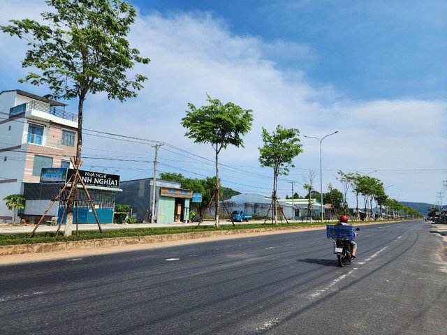 Dự án cây xanh do Công ty Công Minh trúng thầu ở Phú Quốc; Ảnh: NLĐO