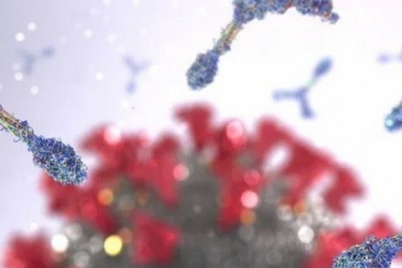 Phát hiện hội chứng tự miễn dịch mới liên quan COVID-19 gây ra bệnh...