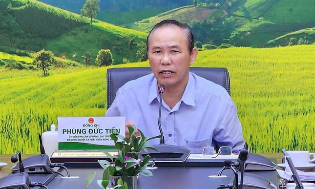 Thứ trưởng Phùng Đức Tiến cho biết, nếu không gỡ được thẻ vàng trong đợt thanh tra sắp tới, Việt Nam phải mất 3 năm mới mới có thể đón đoàn EC tiếp theo. Ảnh: Bảo Thắng.