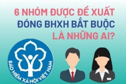 Tin tức trong ngày - 6 nhóm được đề xuất đóng BHXH bắt buộc là những ai?