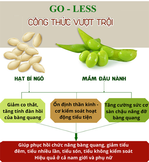 Cơ chế tác động toàn diện của GO-LESS