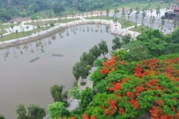 Tin tức trong ngày - Quận Long Biên có thêm vườn hoa gần trăm tỷ đưa vào phục vụ người dân