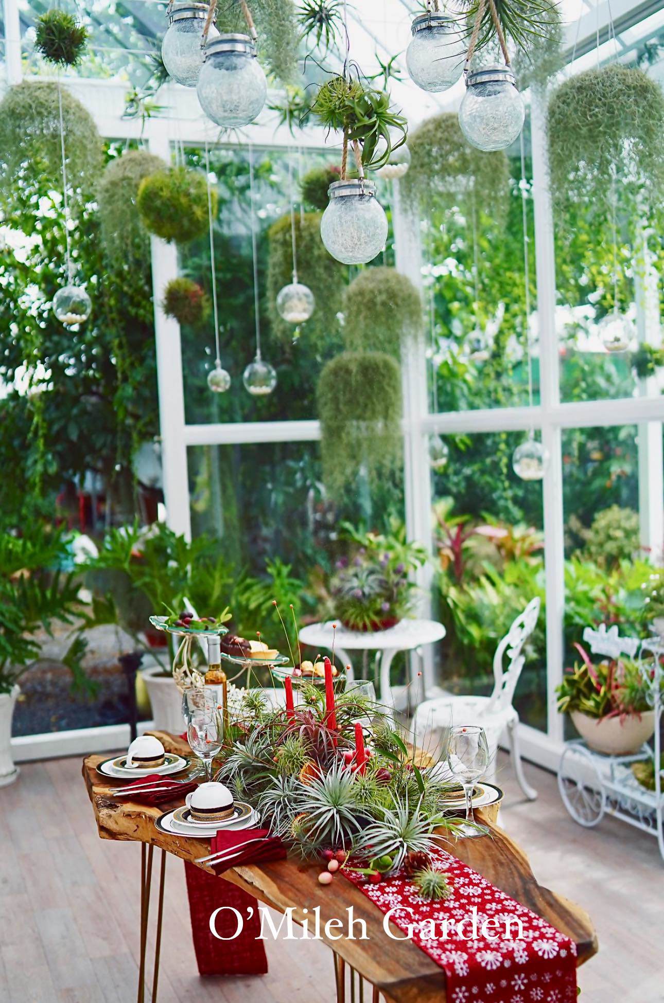 Khu vườn rộng hơn 10.000m2 đẹp như mơ của nữ ca sĩ Việt sẵn sàng cho bạn vay 200 tỷ - 8