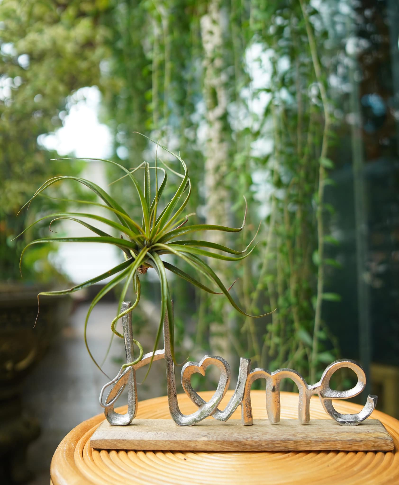 Khu vườn rộng hơn 10.000m2 đẹp như mơ của nữ ca sĩ Việt sẵn sàng cho bạn vay 200 tỷ - 14