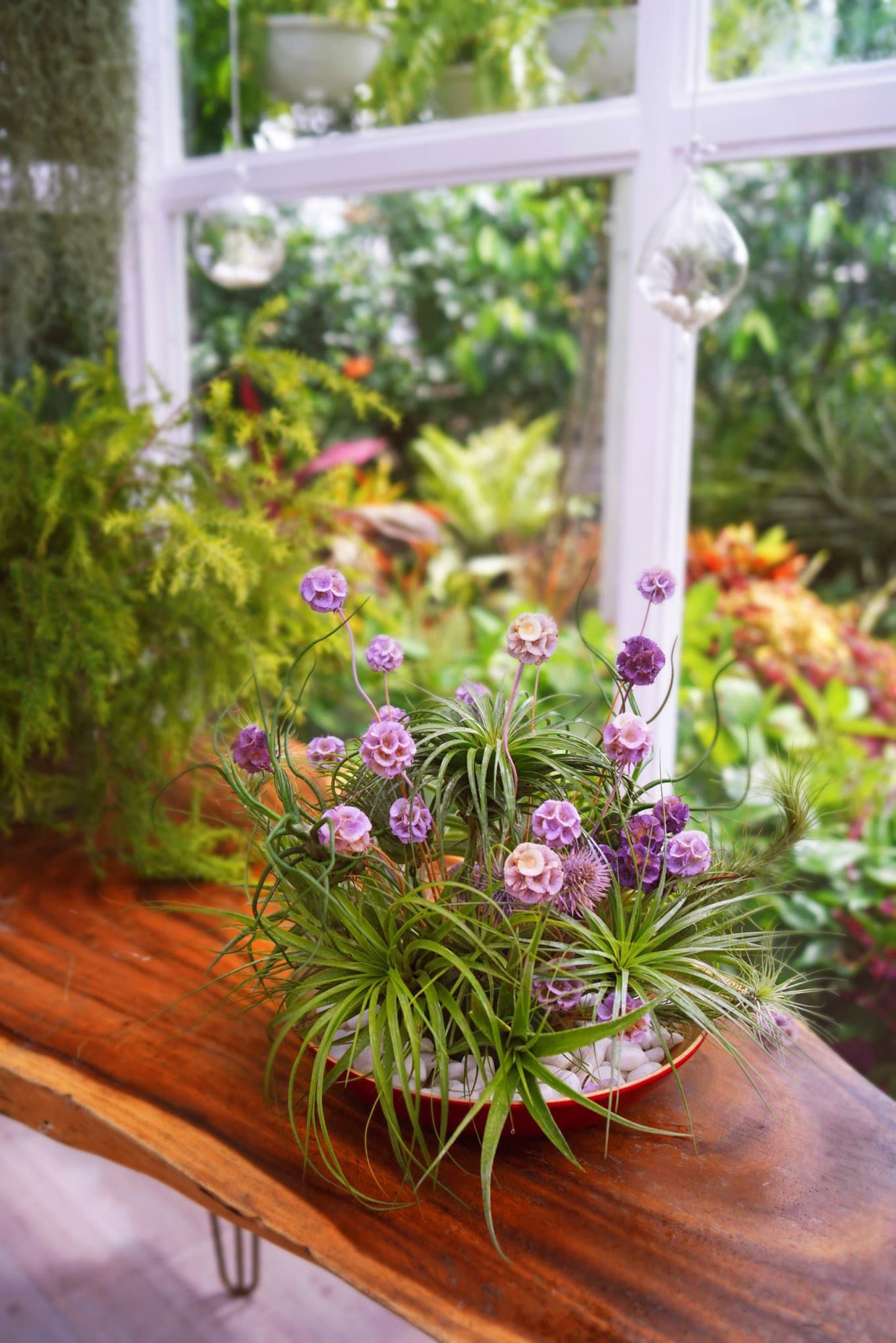 Khu vườn rộng hơn 10.000m2 đẹp như mơ của nữ ca sĩ Việt sẵn sàng cho bạn vay 200 tỷ - 12