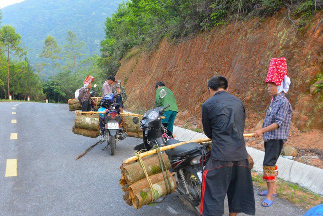 Những ngày tháng 5, khi Mặt trời chưa ló ra khỏi ngọn núi, bà con ở khắp các thôn, bản trên địa bàn huyện Bình Liêu bắt đầu ngày mới với công việc bóc và cạo vỏ quế.