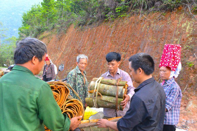 Từ xa, mùi thơm của quế đã lan tỏa khắp các ngả đường.