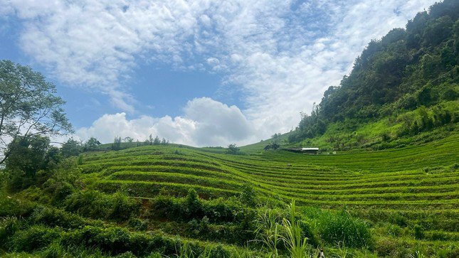 Hoặc cũng có thể đi săn ảnh phong cảnh với những ruộng lúa bậc thang uốn lượn xanh mướt.