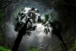 Phi thường - kỳ quặc - Hố sụt khổng lồ chứa khu rừng cổ đại