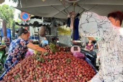 Thị trường - Tiêu dùng - Mận hậu đổ bộ Sài thành, 'giá nào cũng có'