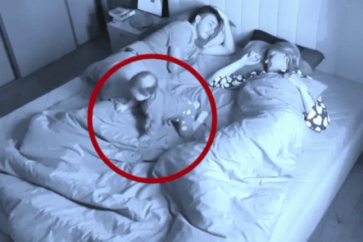 Phi thường - kỳ quặc - Ba mẹ hú hồn với màn 'ly miêu tráo chúa' giữa cậu bé và cún cưng