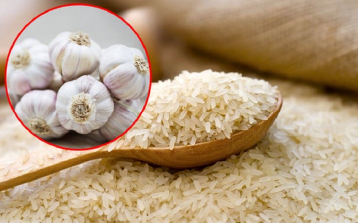 Bảo quản gạo không đúng cách sẽ tạo điều kiện để vi khuẩn, mối mọt sinh sôi, phát triển, làm ảnh hưởng đến chất lượng và hương vị. Ảnh minh họa