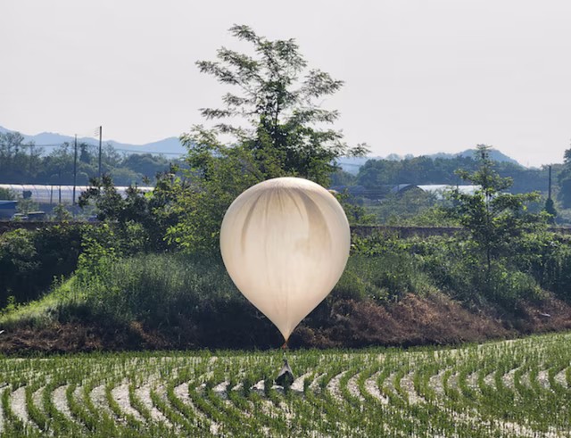 Khinh khí cầu mang theo "rác và chất thải" tại cánh đồng ở Cheorwon - Hàn Quốc ngày 29-5. Ảnh: Reuters
