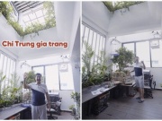 Đời sống Showbiz - Gia trang ngập tràn cây xanh và chim cảnh của nghệ sĩ Chí Trung