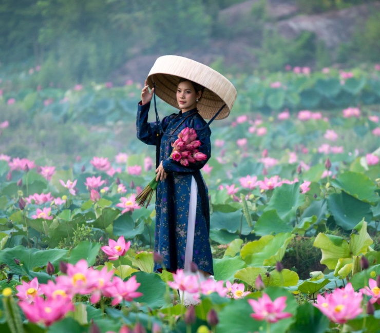 Mùa sen nở rộ ở Trà Lý - 3
