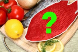 Tin tức sức khỏe - Việt Nam có 1 loại cá mệnh danh là &quot;gà nước&quot;,  thịt thơm ngon lại là “thuốc đại bổ” xương khớp 