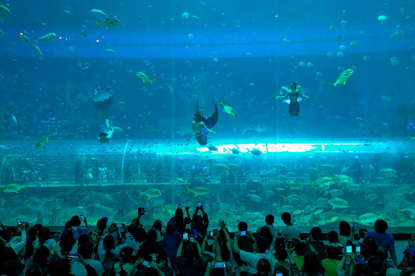 Khởi động mùa hè “tuyệt hơn mơ” với Lễ hội Quốc tế Thiếu nhi tại chuỗi VinWonders trên toàn quốc - 5