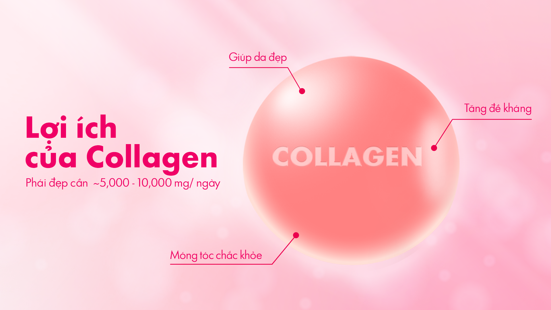 Chống lão hóa mỗi ngày cần bổ sung lượng collagen và sắt bao nhiêu là đủ? - 1