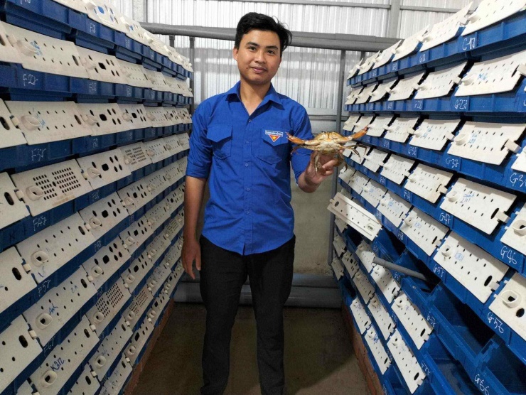 Anh Trần Minh Nhật thu lãi hơn 30 triệu đồng/tháng từ mô hình nuôi cua biển trong hộp nhựa. Ảnh: báo Thanh Niên.