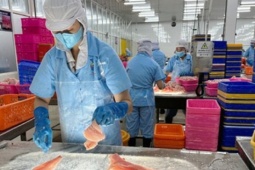 Thị trường - Tiêu dùng - Giá xuất khẩu cá tra sẽ tăng 10%