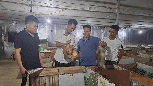 Anh Lê Văn Lâm (xóm Bình Long, xã Vô Tranh, huyện Phú Lương, tỉnh Thái Nguyên) bắt tay vào nuôi dúi từ năm 2016. Ảnh: Hà Thanh