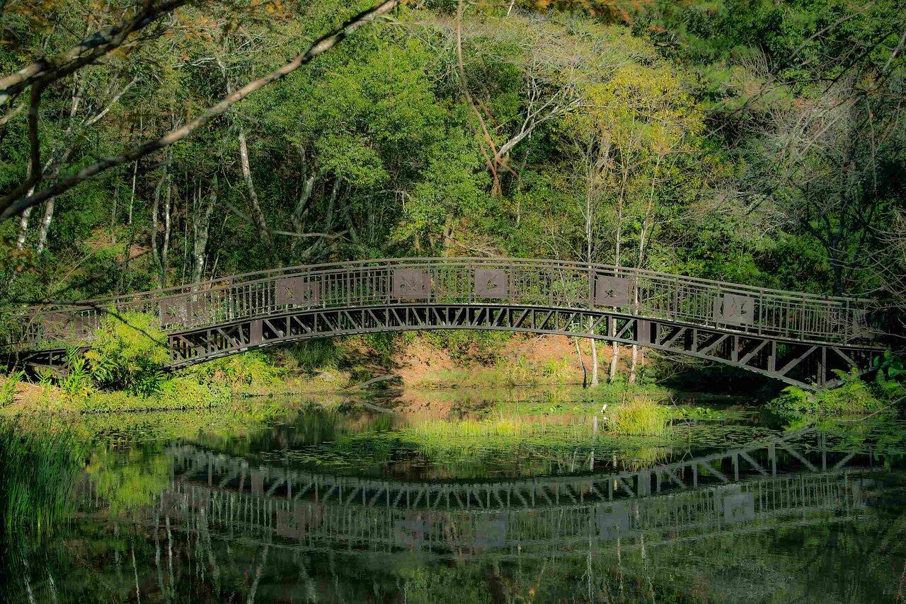 Cầu đi bộ bắc ngang hồ tạo nên khung cảnh ấn tượng