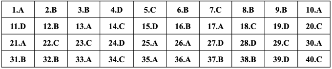 Đáp án đề thi tiếng Anh lớp 10 ở Hà Nội năm 2024 - 24