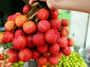 Thị trường - Tiêu dùng - Vải thiều tăng giá gấp ba trong ngày Tết Đoan Ngọ