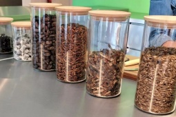Bảo tàng trưng bày những món ăn kinh dị ở Đức