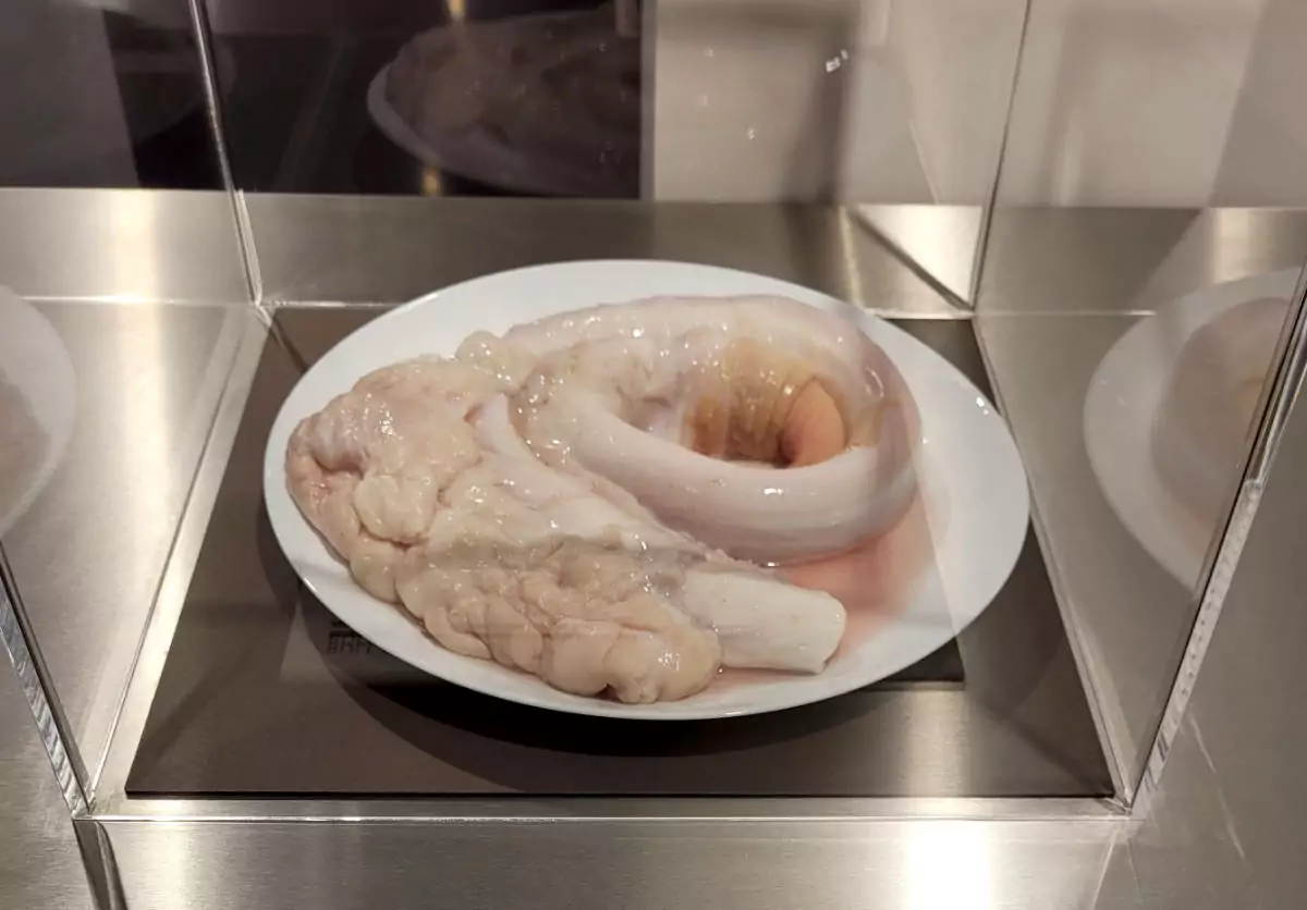 Bảo tàng trưng bày những món ăn kinh dị ở Đức - 5