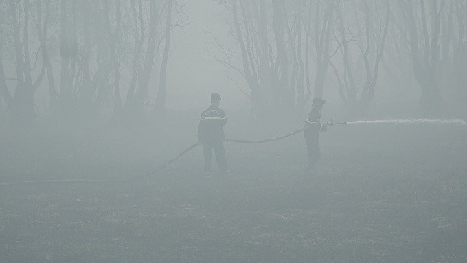 Vườn quốc gia Tràm Chim cháy uy hiếp hàng trăm hộ dân ở quanh khu vực. Ảnh: Phùng Tiên 