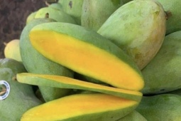 Sức khỏe đời sống - Bất ngờ với lợi ích của hạt trái xoài sau khi nghiền thành bột