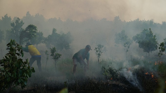 Người dân dập lửa ở vườn trái cây chống cháy lan sang rừng tràm. Ảnh: Phùng Tiên