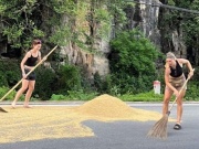 Tin tức trong ngày - Khách Tây nhiệt tình "chạy lúa" giúp người dân Ninh Bình