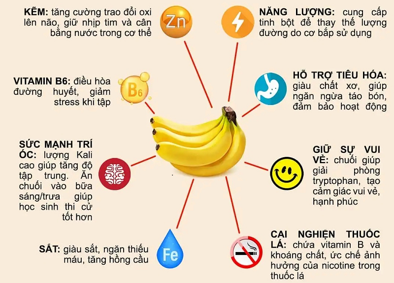 Loại quả được mệnh danh là “trái cây hạnh phúc”, rất giàu dinh dưỡng cho phổi, nhưng thường bị người Việt bỏ qua - 1