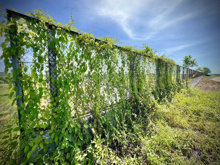Nhiều hạng mục đã đầu tư bị bỏ hoang lâu ngày bắt đầu hư hỏng, xuống cấp nghiêm trọng, có những hạng mục công trình bị vùi lấp bởi đất đá, xói lở, cỏ cây mọc um tùm. Ảnh: Nguyễn Ngọc.
