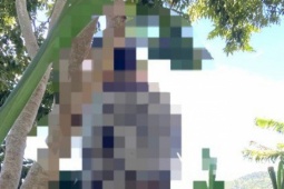 Tin tức trong ngày - Phó chủ tịch xã ở Gia Lai chết trong tư thế treo cổ gần trụ sở