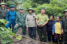 Kiểm lâm cùng người dân vào khu vực rừng nghi có hổ để tìm dấu vết