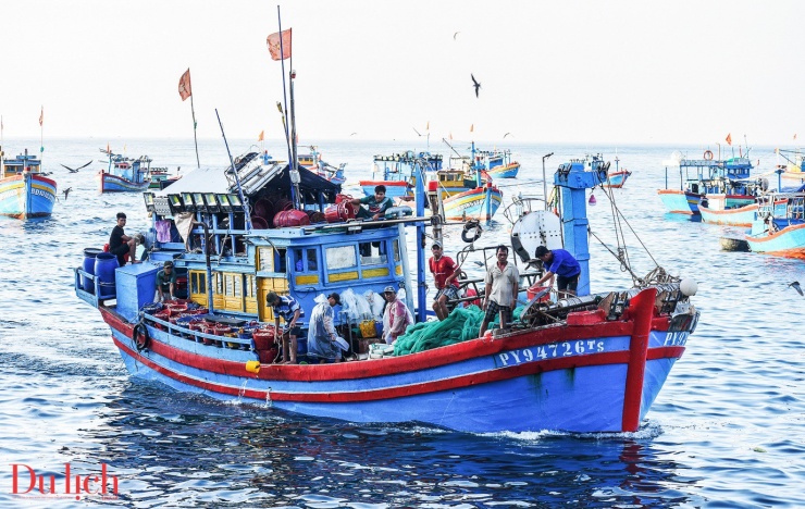 Bức tranh thơ mộng ngày mới ở làng chài Nhơn Lý - 14