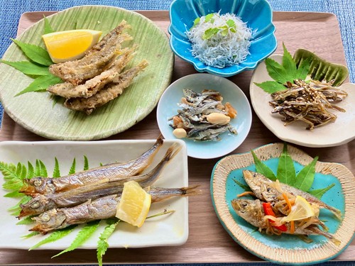 Một số món ăn từ cá nhỏ quen thuộc với người Nhật .Ảnh: ĐẠI HỌC NAGOYA