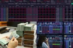 Kinh doanh - Thị trường chứng khoán “quay xe” sau mốc 1.300 điểm: Người lãi lớn, kẻ “choáng váng”