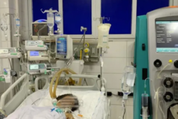 Sức khỏe đời sống - Người phụ nữ 69 tuổi bị sốc nhiễm khuẩn, suy đa tạng vì tâm lý chủ quan nhiều người Việt hay mắc phải