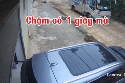 Ô tô - Clip: Thốn đến tận rốn, tài xế lùi xe bay cả 'vây cá mập' trên nóc