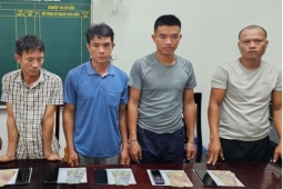 Pháp luật - Chọi trâu ăn tiền lúc tờ mờ sáng, nhiều đối tượng bị bắt