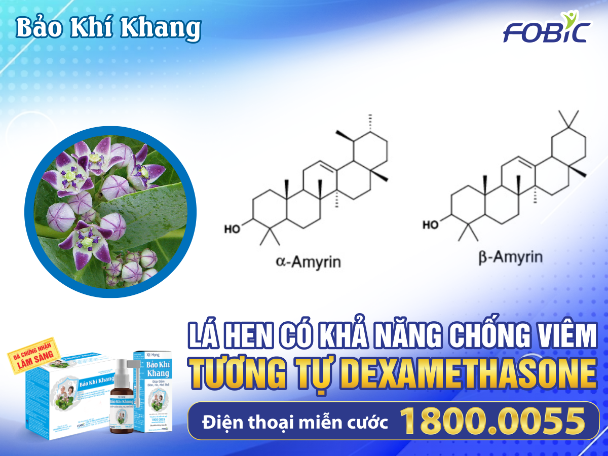 Thức uống “đại bổ” mùa hè có thể lọc sạch phổi, thực hư thế nào? - 3